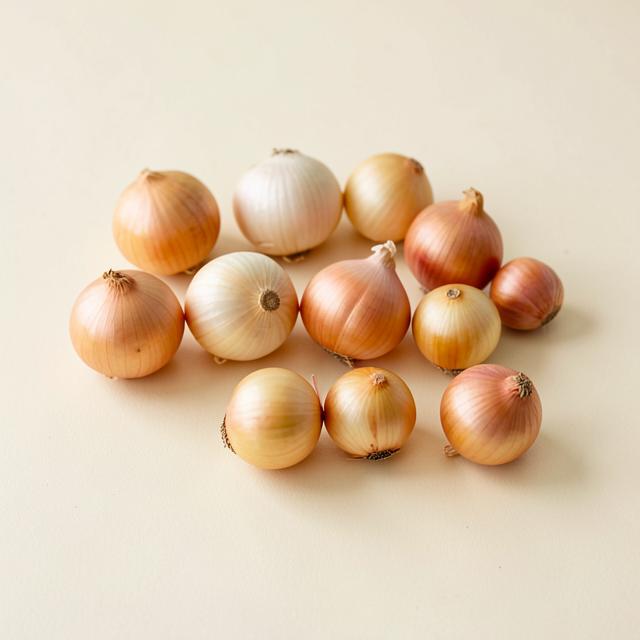 Shallots (Small Onion) sourced and supplied by Agri Gate